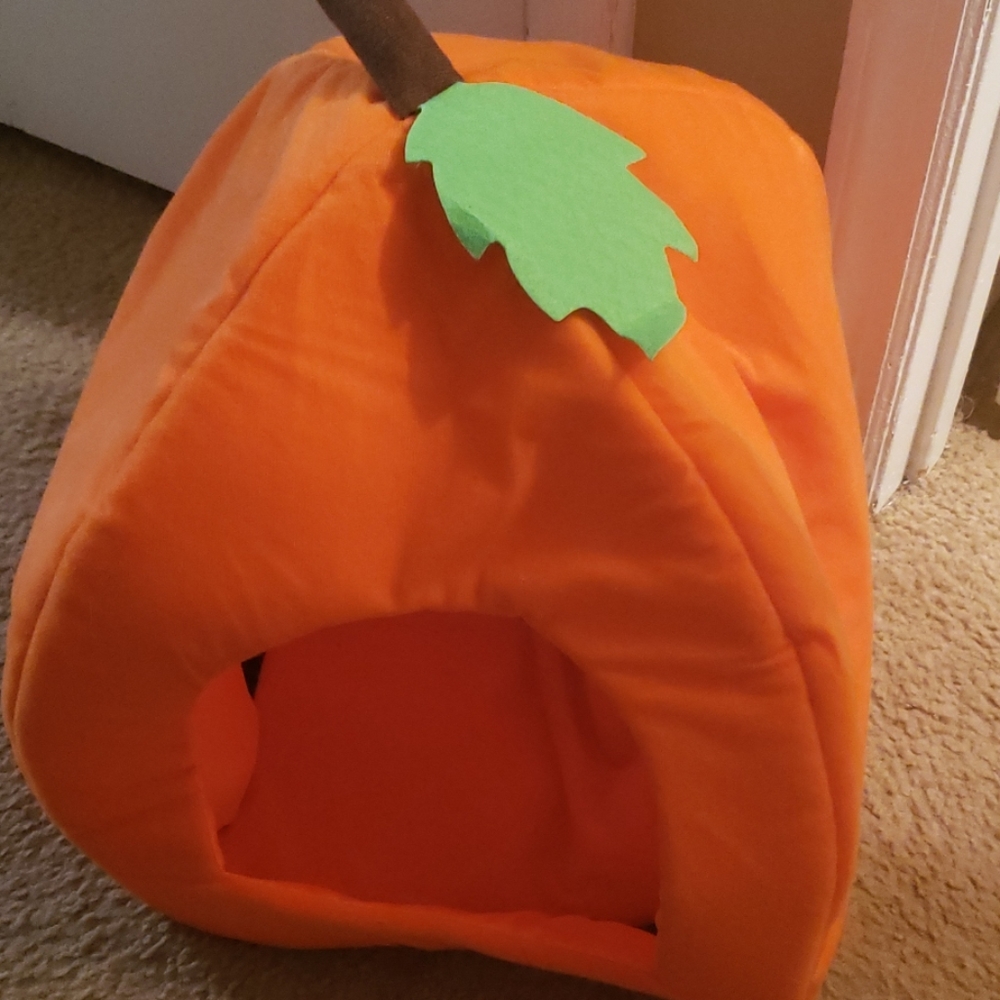 Pet bed